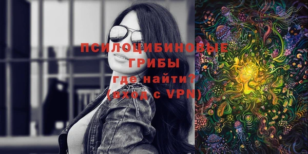 бутират Алзамай