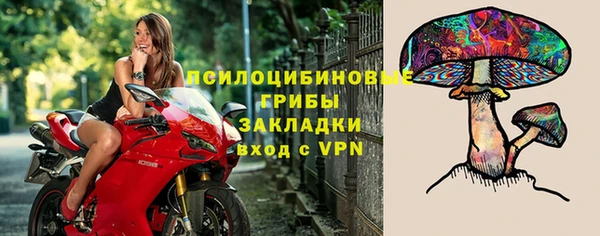 бутират Алзамай