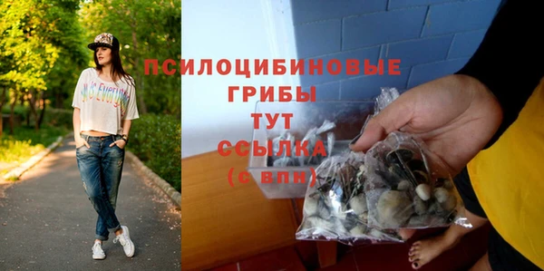 соль курить ск Алексеевка