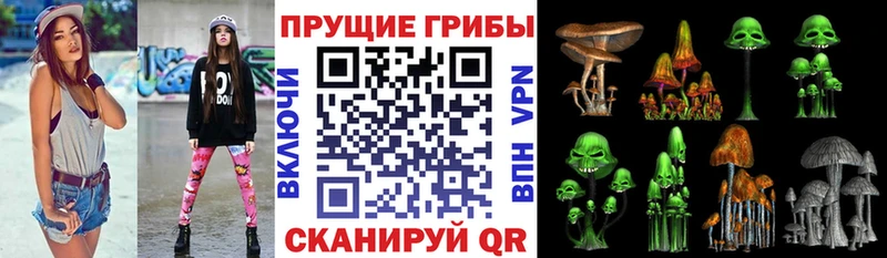 Псилоцибиновые грибы ЛСД  наркошоп  Гаврилов Посад 